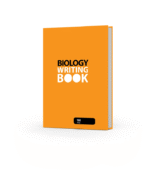 A/L Writing Book 160 Pg - Image 11